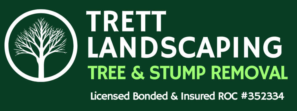 Trett Landscaping | Phoenix Tree Stump Removal